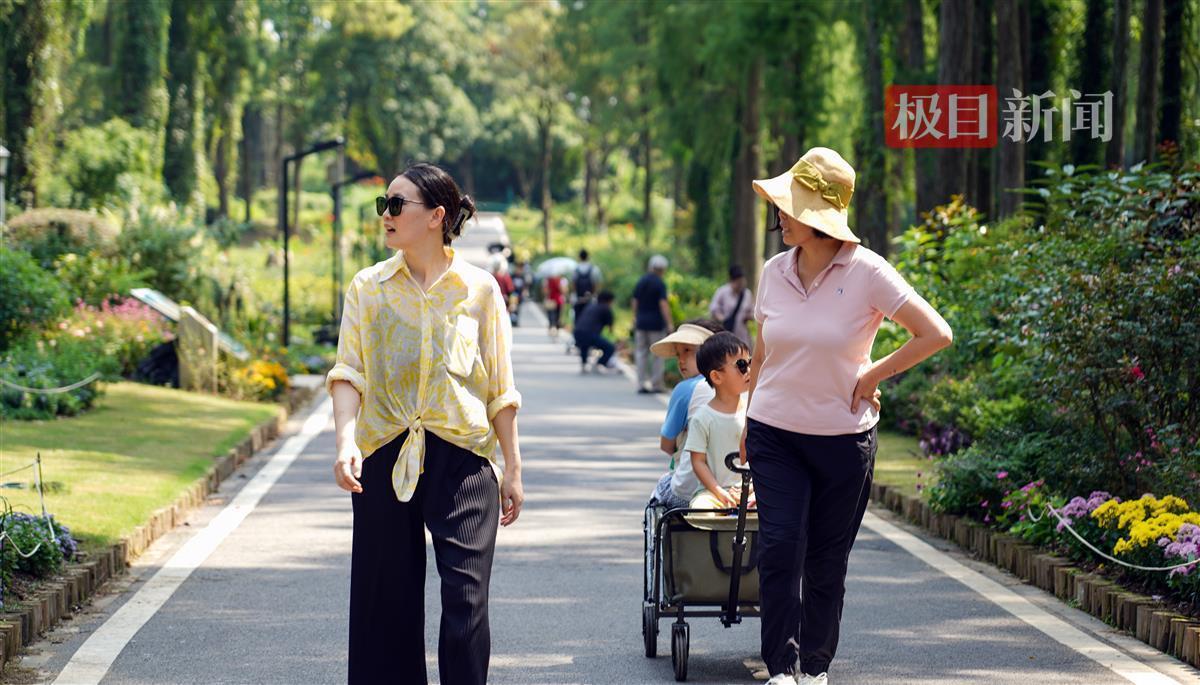 真人龙虎游戏在线平台下载